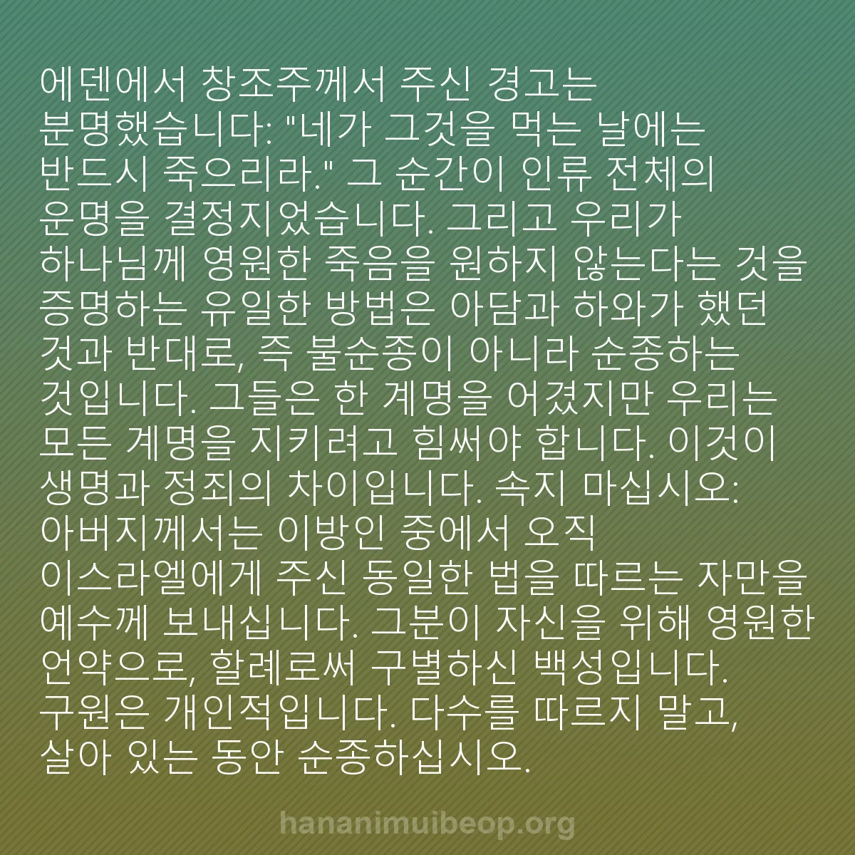 b0303 - 하나님의 법에 관한 게시물: 에덴에서 창조주께서 주신 경고는 분명했습니다: "네가 그것을 먹는 날에는 반드시...