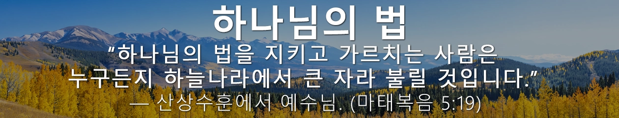 하나님의 법